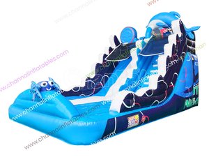 Sea World Piscine aquatique gonflable avec toboggan aquatique et toboggan sec, Château gonflable commercial, Toboggan géant gonflable à obstacles - Product Image 1
