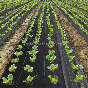 <span class=keywords><strong>Film</strong></span> de paillage PP non tissé, tissu anti-mauvaises herbes, couverture de sol agricole, <span class=keywords><strong>film</strong></span> de paillage pour serre et <span class=keywords><strong>jardin</strong></span> - Product Image 3