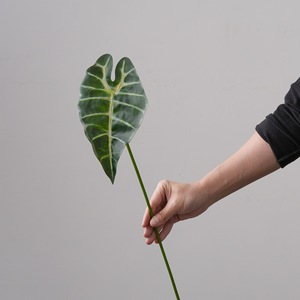 Feuille d'Alocasia Artificielle CallaFloral, Branche Unique, Verte, en PVC Brillant, Décoration Intérieure, Artisanat de Mariage, Style INS - Product Image 1