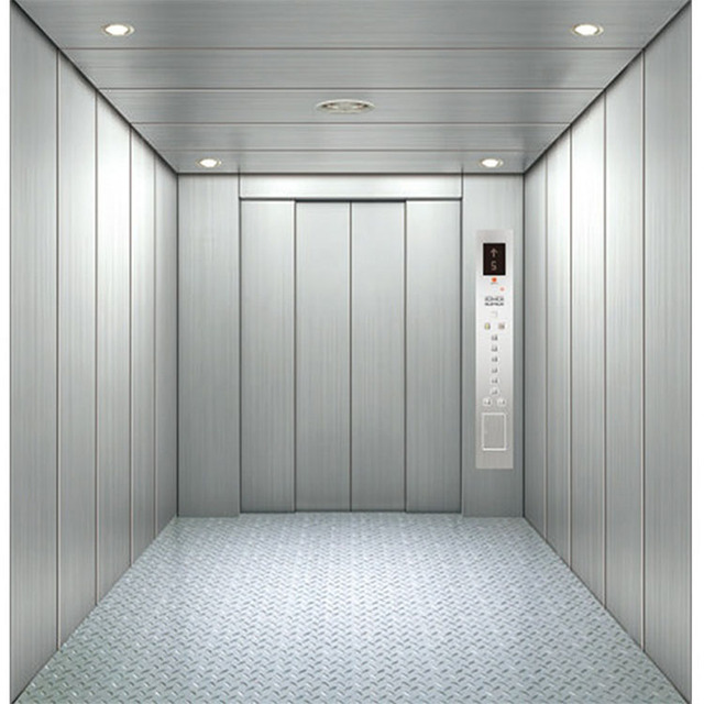Freight Elevator 3000kg Capacity Apartment Use Stainless Steel Traction Wall Mounted Cargo Lift with 2-Year Warranty
