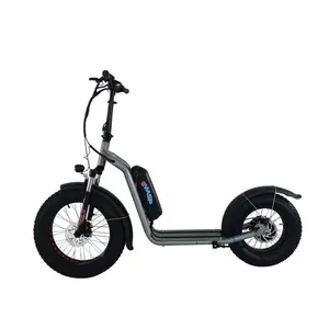 Bicicleta eléctrica plegable para adultos, llanta ancha de 16 pulgadas, 500W, 20 pulgadas, precio de venta al por mayor de China