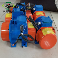 Einstellbare 220V Vibrator Vibrations motoren