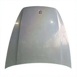Capó de Alta Calidad para Porsche Cayenne 2011-2014  95551101100  9Y0823031  9Y0823031DY  9Y0823031GY - Product Image 1