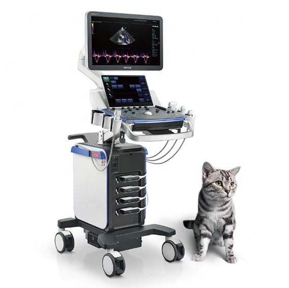 Mindray Vetus 7 Expert Veterinary Ultrasound
