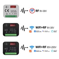 Module intelligent universel Tuya RX MULTI Wifi 2CH 300-868MHz, relais intelligent, récepteur de télécommande de Garage/porte