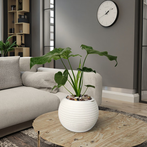 Pot <span class=keywords><strong>de</strong></span> fleurs auto-arrosant au design moderne, <span class=keywords><strong>en</strong></span> résine plastique épaissie, pour <span class=keywords><strong>culture</strong></span> <span class=keywords><strong>en</strong></span> terre ou hydroponie, idéal pour la décoration créative <span class=keywords><strong>de</strong></span> la maison et le jardinage <span class=keywords><strong>de</strong></span> bureau. - Product Image 1