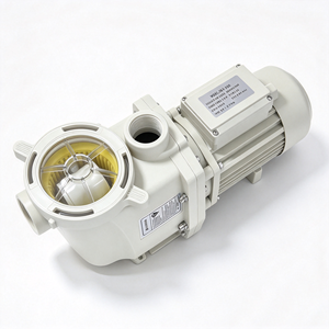 Bomba para Piscina Pequeña PENTAIR EMAUX de 0.75hp, Bomba para Spa Doméstico, Funcionamiento Continuo de 24 Horas, Bomba Centrífuga de Doble Voltaje 110V/220V - Product Image 4