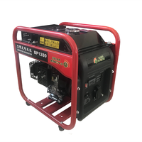 RZBP1280 1.0KW/KVA 220V เครื่องกำเนิดไฟฟ้าเบนซินอินเวอร์เตอร์