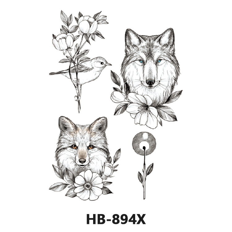 HB-894X