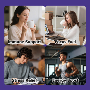 Customized Natural Mushroom Coffee Powder with Mushroom Arabica Coffee <b>Supplement</b> Herbal Dietary <b>Supplements</b> Gut Health Boost - Product Image 3