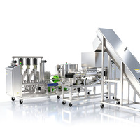 Extracteur de jus de fruits industriel à froid, automatique, sans oxygène, haut de gamme, pour ligne de production de boissons