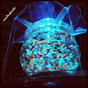 Acuario Acrílico en Forma de Flor Personalizado de Fábrica - Diseño Floral Elegante para Decoración Acuática - Product Image 1