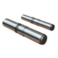 SB40 SB50 SB81 SB121 SB151 Piston en acier hautement allié pour marteau de brise-roche hydraulique d'excavatrice