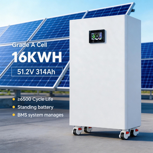 แบตเตอรี่โซลาร์ไฮบริดแบบตั้งพื้น 51.2V 314Ah 16KWh ออลอินวัน แนวตั้ง พร้อมอายุการใช้งาน 8000 รอบ สำหรับจ่ายไฟฟ้าในที่อยู่อาศัย - Product Image 4