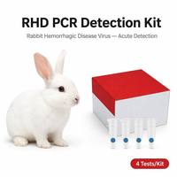 Kit de Prueba PCR de Ácido Nucleico para la Enfermedad Hemorrágica del Conejo (RHD), Certificado CE Clase II, Preciso para Granjas y Hospitales Veterinarios, 1 Año de Duración