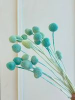 Bunga Billy Buttons Emas Awet dengan 20 Tangkai untuk Dekorasi Pernikahan, Hari Ibu, Natal, dan Pesta - Tahan Lama