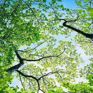 Película <span class=keywords><strong>de</strong></span> Techo <span class=keywords><strong>de</strong></span> PVC Flexible, Paneles <span class=keywords><strong>de</strong></span> Revestimiento Ignífugos, Techos Artísticos Falsos - Product Image 3