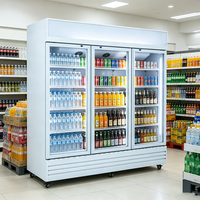Enfriador Comercial para Bebidas y Cerveza, Control de Temperatura Mecánico, Enfriamiento Directo, Exhibidor de Vino, Congelador para Supermercado