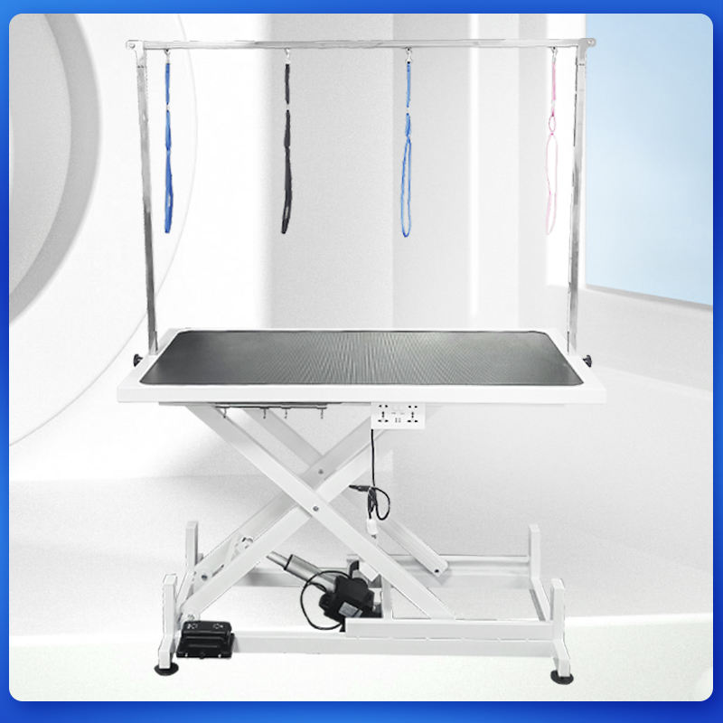 Professional Electric Pet Grooming Table Motorized Height Adjustable ...