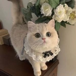 Collares, Corbatas y Bufandas para Mascotas de Verano, Diseño de Lazo, Encaje Personalizado, Lindo Estilo Lolita, Multicolor, Babero para Perros y Gatos - Product Image 2