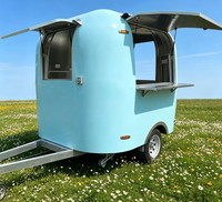 Remolque de Comida Móvil Personalizado de un Solo Eje con Ventanas de Servicio Elevables Dobles, Mini Carrito de Comida para Café, Jugos y Helados