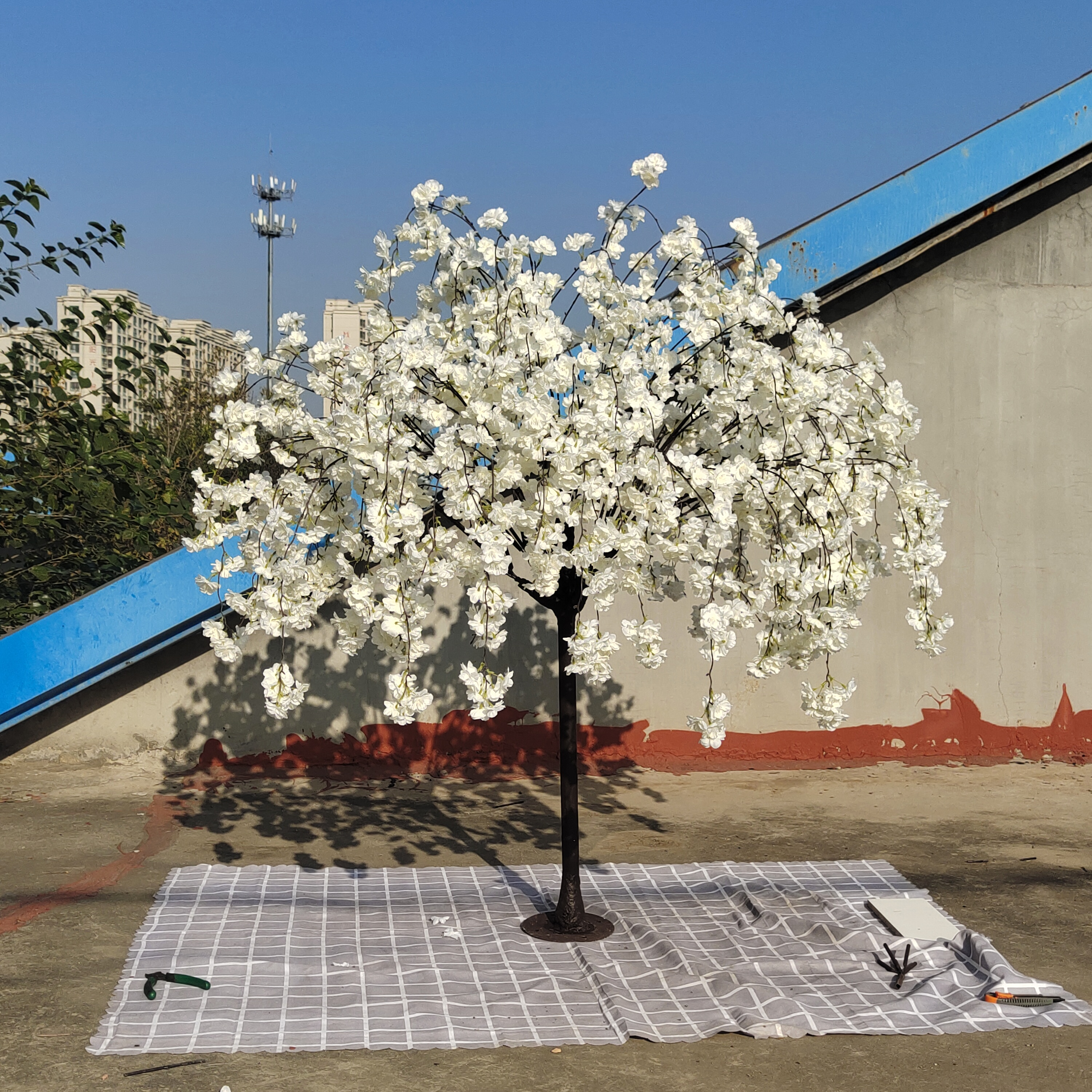 6.Hanging cherry blossom 2