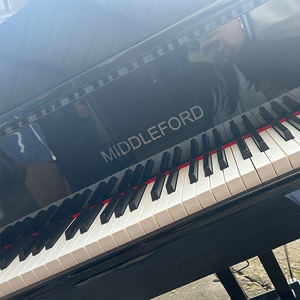 โลโก้สีทองหรือสีเงินแบบกำหนดเองบนฝาปิดคีย์บอร์ดเปียโน - Product Image 2