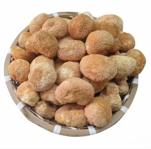 Alta Qualidade Deep-Mountain Hericium Erinaceus Secas Grandes Cogumelos Cocklebur Fresco Raw <span class=keywords><strong>Shiitake</strong></span> Fungo Extrato De Planta Inteira - Product Image 1