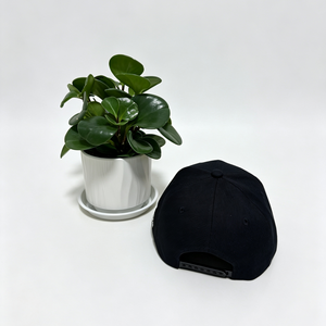 High Quality <b>Vintage</b> 6 Panel Twill Sporty Street Style Cotton Two Tones Baseball <b>Caps</b> with Custom Flat Embroidery Logo - Product Image 5