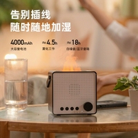 Flamme arôme diffuseur huile essentielle Air feu humidificateur sans fil Portable aide au sommeil Bluetooth haut-parleur blanc bruit lecteur