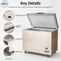 Congélateur coffre commercial à ouverture par le haut, à température unique, pour crème glacée, 400L grande capacité, refroidissement direct, réglable