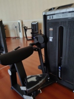 Machine à curls pour biceps réglable, équipement de fitness durable pour l'entraînement de la force des bras et du dos, avec sélection de charge par broche