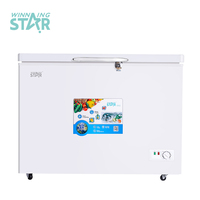 Winner STAR – réfrigérateur ménager à Compression profonde BG-450 176L AC