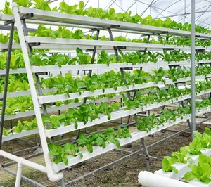 2024 Agricultura comercial invernadero hidropónico cultivo tubos 100x50mm invernadero NFT sistemas hidropónicos tubos de PVC para la venta