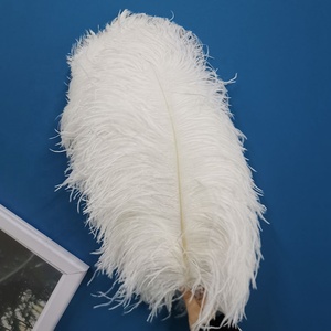 Vente en gros de grandes <span class=keywords><strong>plumes</strong></span> d'autruche <span class=keywords><strong>blanches</strong></span> pour décoration de mariage, artisanat, centre de table de fête de carnaval, motif teint - Product Image 2