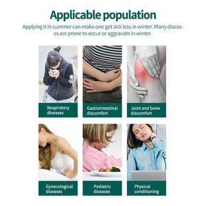 Patch de thérapie détoxifiante aux herbes Sanfu QiAi prix d'usine soulagement de la douleur maladies hivernales en été traiter les produits chinois - Product Image 4