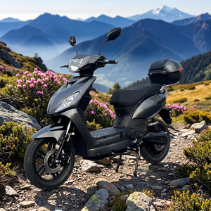 <span class=keywords><strong>Scooter</strong></span> électrique 48V 1000W 16 pouces, <span class=keywords><strong>homologué</strong></span> EEC COC, directement de l'usine OEM ODM, pour les distributeurs - Product Image 5