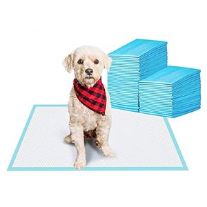 Small Orders Welcome 60X60cm Disposable Basics Pet Urine Pads 6-Layer Quick-Dry Surface Puppy Dog Potty Training Mats - Product Image 1