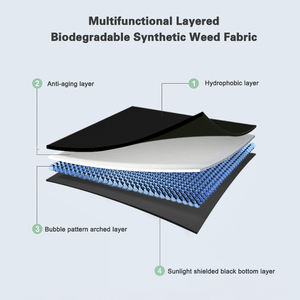 1.2m genişliğinde X 50m uzunluğunda siyah beyaz Film ruloları 250 Um kalınlık 10cm genişliğinde delikler ot örtüsü - Product Image 2