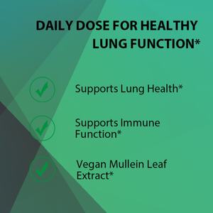 Cápsulas de Extracto de Hoja de Gordolobo OEM ODM, Apoyo Inmunológico, Limpieza Pulmonar, Apoyo a la Salud Pulmonar, Suplemento Energético Vegano Sin OMG - Product Image 3