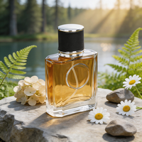 Nouvelle Bouteille de Parfum Vide en Verre 50ml avec Pompe Distributrice de Lotion, Vaporisateur Hydratant, Finition Mate, Cosmétiques, Estampage à Chaud, Diffuseur à Bâtonnets