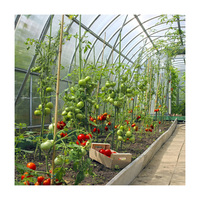Serre tunnel agricole Polyhouse avec petites structures en polycarbonate pour la culture hydroponique de légumes