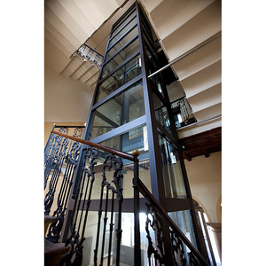 Đơn giản dân cư thang máy hành khách nhà nâng công suất 5 người dễ dàng lắp đặt điện giá rẻ cho bệnh viện biệt thự gỗ 2-4 - Product Image 1