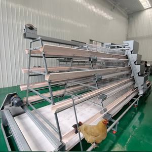 Güvenilir tedarikçi kolay kurulum orta doğu için düşük gürültü güçlü kaynak alanı tasarrufu tavuk kümesi - Product Image 1