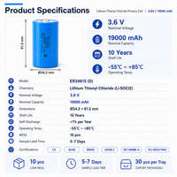Batterie Li-SoCl2 ER34615 3.6V 19000mAh Taille D Industrielle Primaire pour Compteur AMR Capteur LoRaWAN Décharge à Impulsion Appareils Électroménagers de Haute Performance