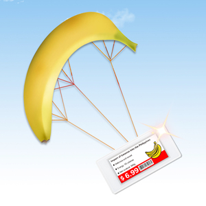 Không Dây Etag Epaper Màu Eink Hiển Thị ESL Demo Kit Kỹ Thuật Số Biển Giá Điện Tử Tag Kệ Nhãn - Product Image 5