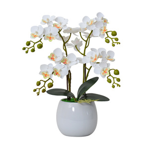 Flower Delight - Planta Artificial de Orquídea Phalaenopsis en Maceta de 36 Pulgadas, PVC Suave, Decoración Realista para Interiores - Product Image 5