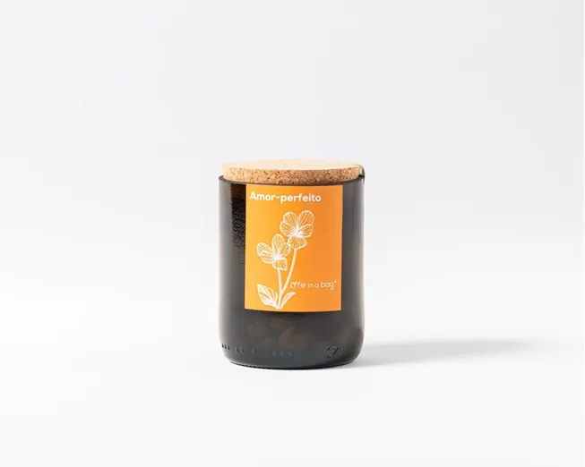 Kit de jardin d'herbes d'intérieur pour bouteille de vin recyclée avec design de pensée sauvage moderne Herbes fraîches et pot de fleur Kit de décoration et de culture facile