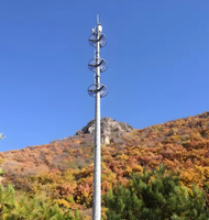 Tour monopôle durable à tube unique de 20 m en acier galvanisé à chaud, levage manuel, pour antenne 5G et station de base 5G