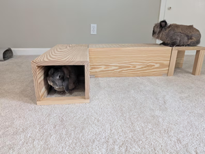 เตียงอุโมงค์ไม้แบบโมเดิร์น ODM/OEM สำหรับกระต่าย เพื่อความสบายและการเล่น - Product Image 2